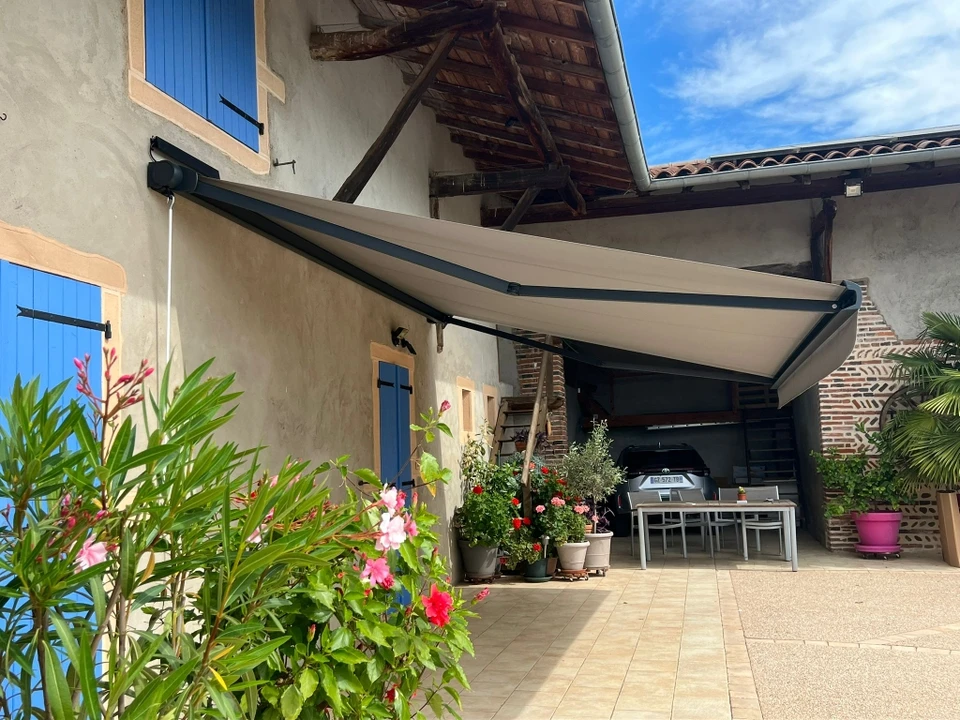 Scène extérieure agricole montrant des rangées de culture sous protection textile blanc, alignées parallèlement dans un champ au lever du soleil